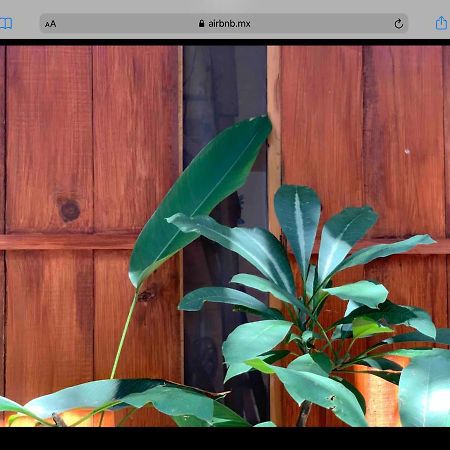 Hostal Caparazona Puerto Escondido  Dış mekan fotoğraf
