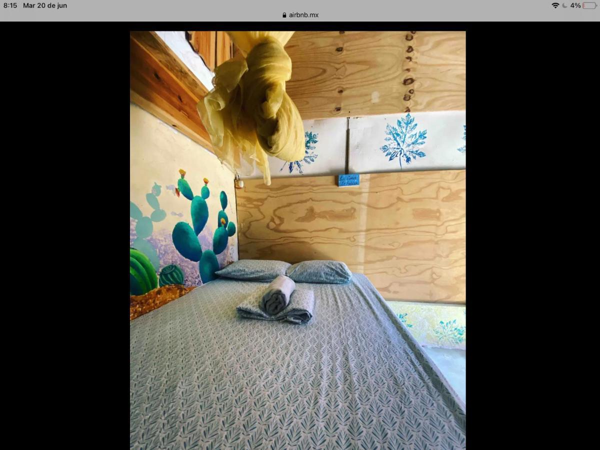 Hostal Caparazona Puerto Escondido  Dış mekan fotoğraf